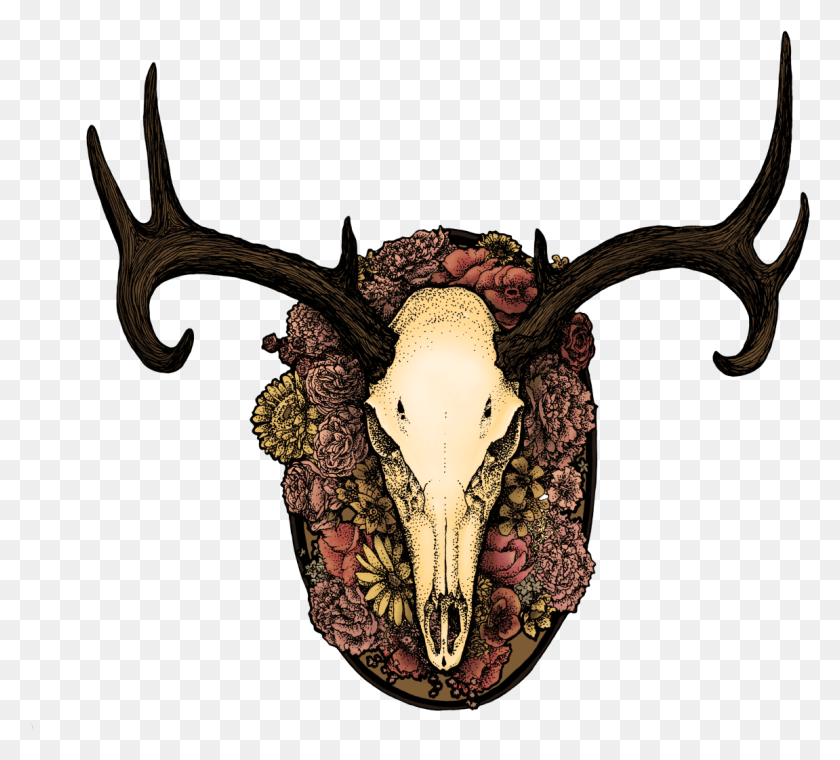 1151x1034 Deer Skulls Transparent Background, Antler, Animal, Cross HD PNG Download