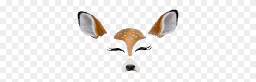 333x210 Deer Snapchat Filter Requested By Uhmyfeelings Filtros De Snapchat, Plant, Giant Panda, Bear HD PNG Download