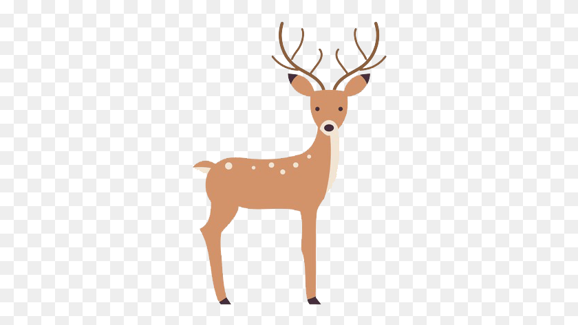 284x413 Deer Vector, Wildlife, Mammal, Animal HD PNG Download