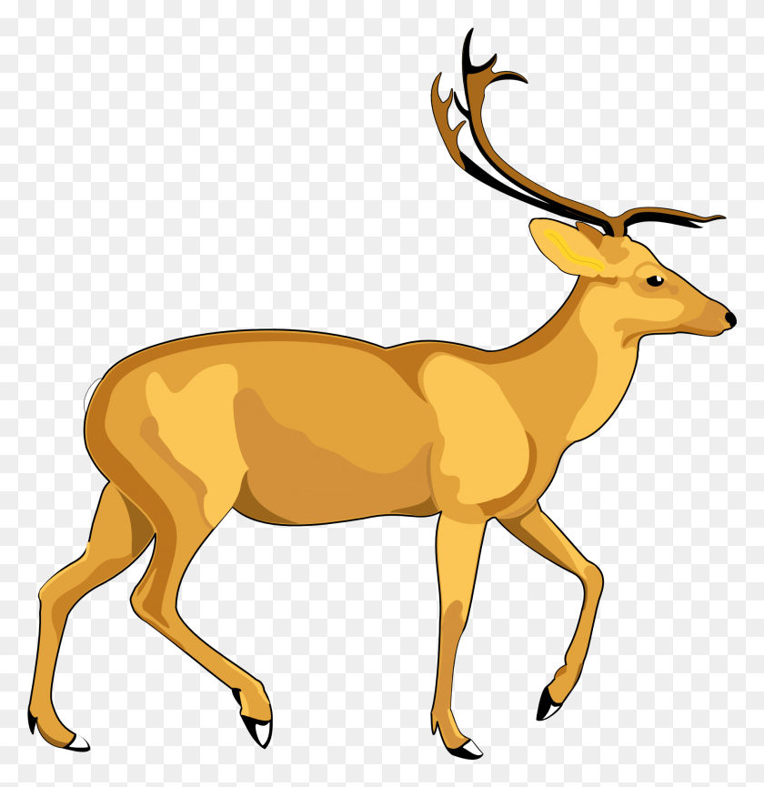 1861x1921 Deer Vector Deer Vector, Antelope, Wildlife, Mammal HD PNG Download
