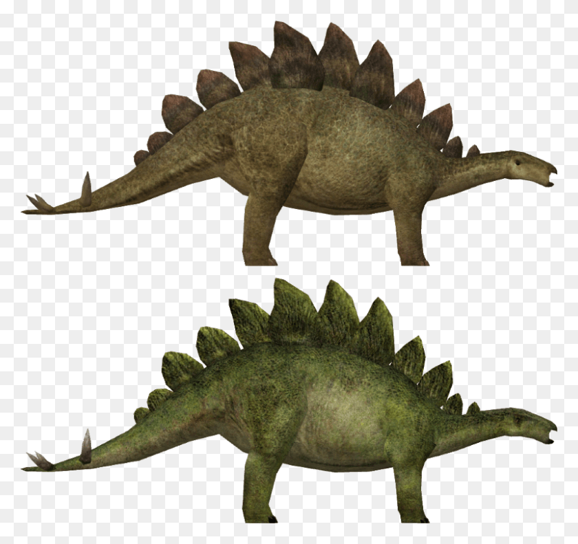 800x750 Default And Jurassic World Jurassic World Evolution Stegosaurus, Reptile, Animal, Iguana HD PNG Download