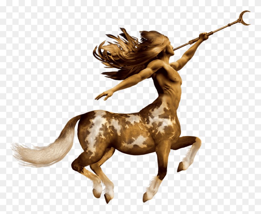 808x652 Definitive Entry Into Aries No Sneaking Back Sorrel, Horse, Mammal, Animal HD PNG Download