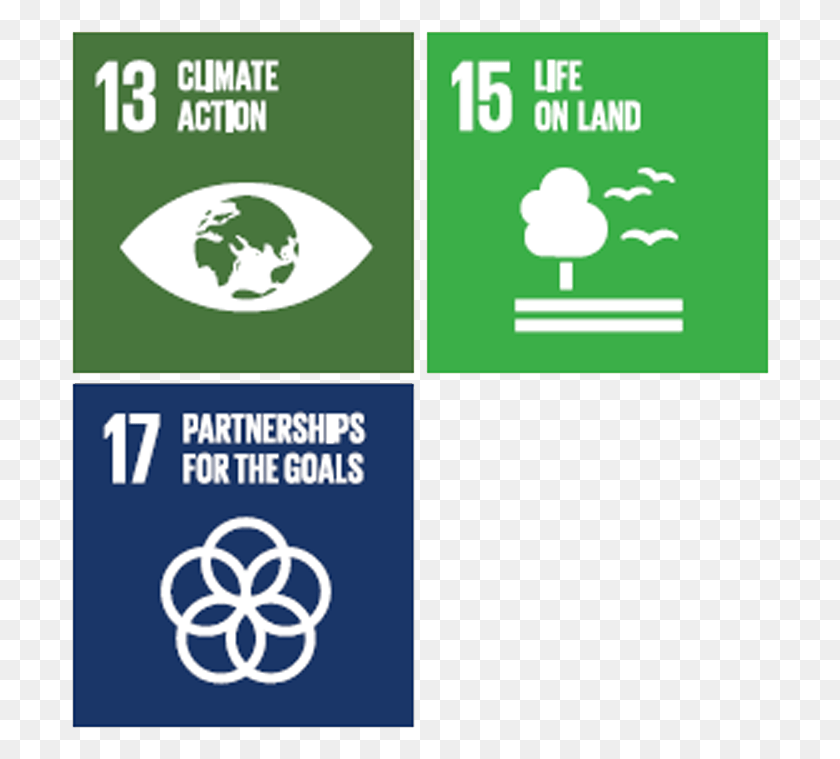 698x699 Deforestation Of High Carbon Stock Forests And Peat Sdg 17 Partnership For The Goals, Text, Poster, Advertisement HD PNG Download