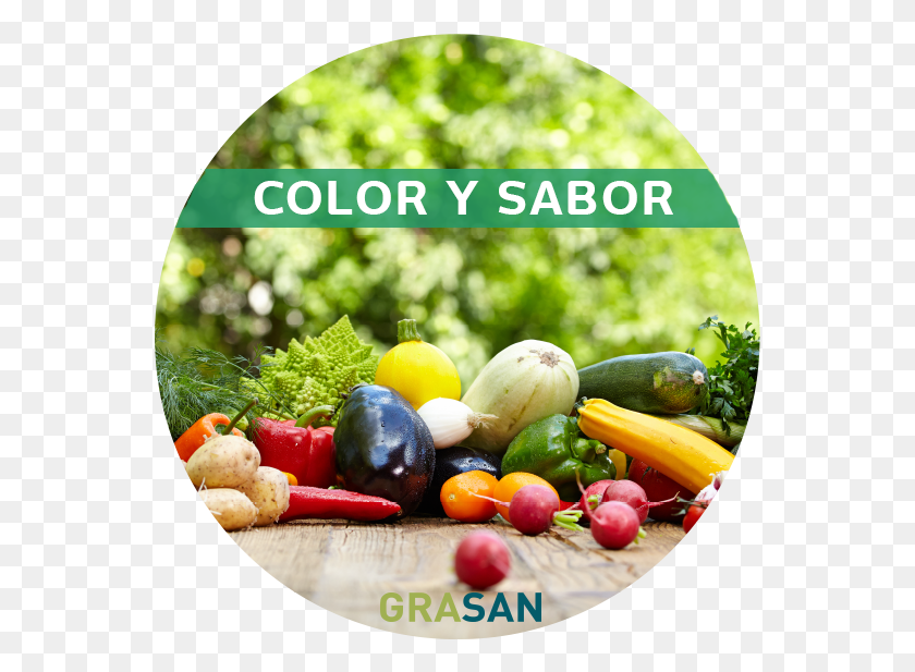 557x557 Del Campo A La Mesa De Tus Comensales Maintain A Healthy Diet, Plant, Food, Banana HD PNG Download