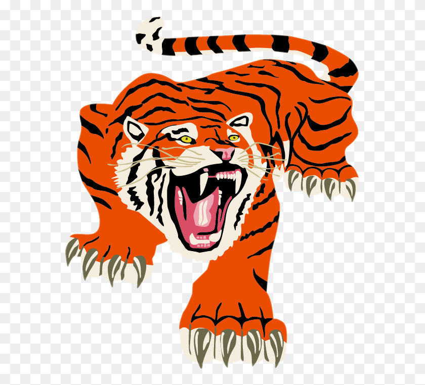 585x702 Delano Tigers Mn, Teeth, Mouth, Lip HD PNG Download