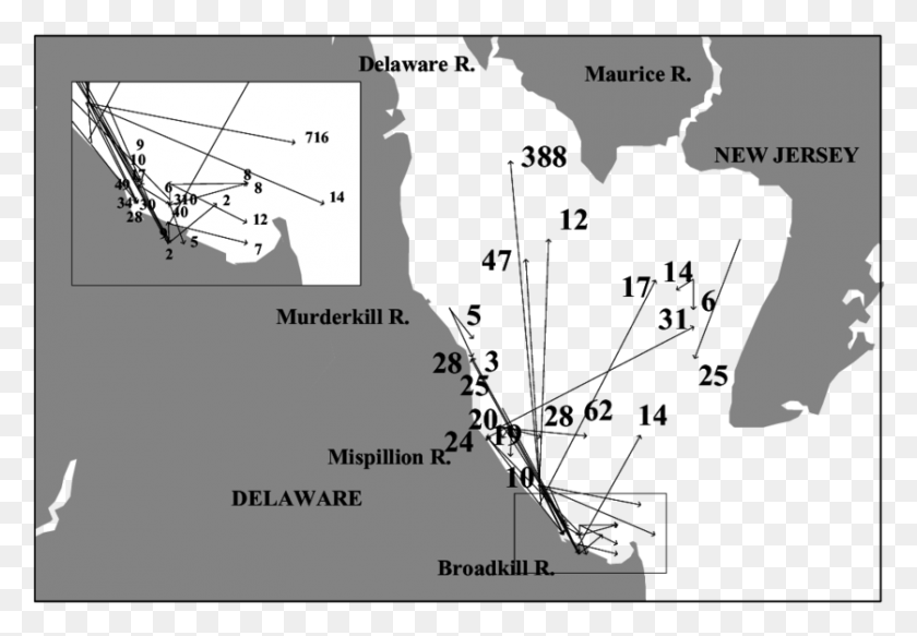 837x562 Delaware Bay Sandbar Shark Tag Release And Recapture Mars 2012, Plot, Diagram, Vegetation HD PNG Download