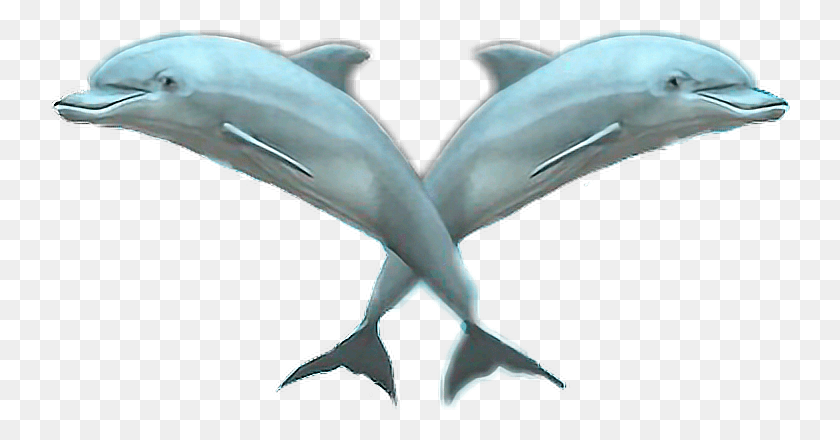740x380 Delfins Vaporwave Aesthetics Aestheticedit Vapor Vaporwave Dolphin, Mammal, Sea Life, Animal HD PNG Download