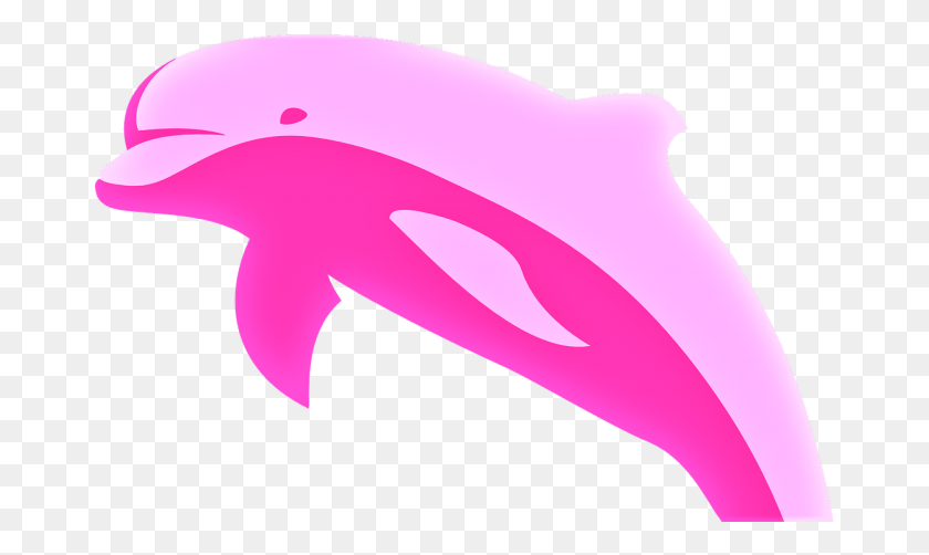 670x442 Delfn Rosado Amazon River Dolphin Cartoon, Sea Life, Animal, Mammal HD PNG Download