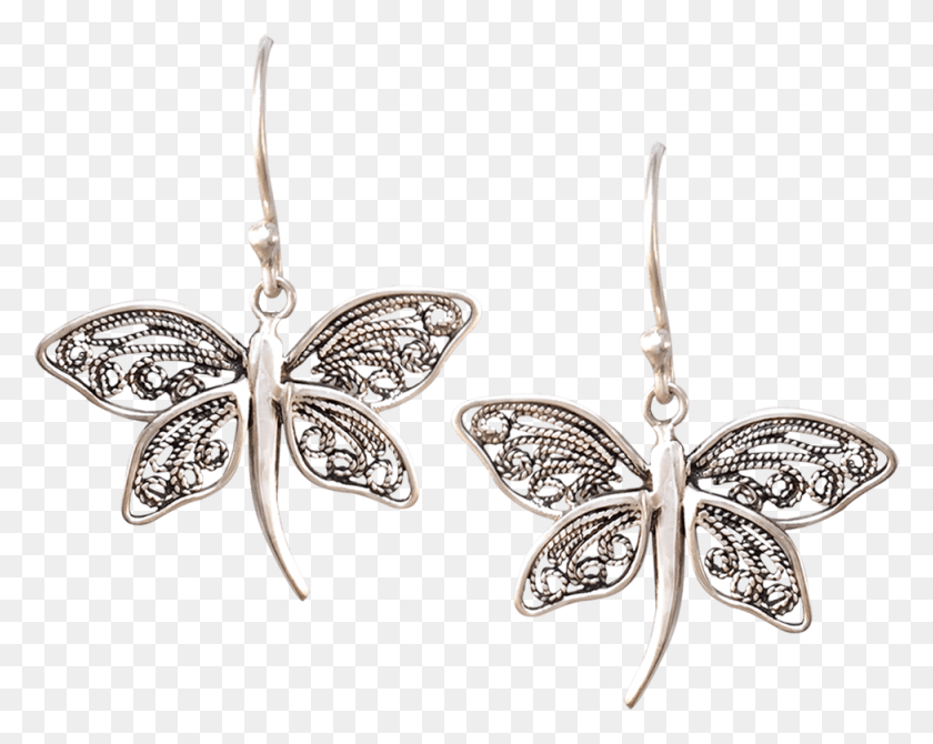 975x763 Delicate Dragonfly Earrings Creations For Beauty Earrings, Accessories, Accessory, Jewelry HD PNG Download
