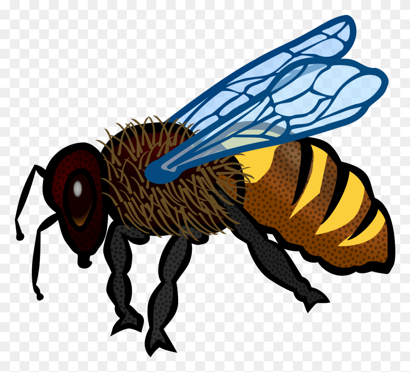 2321x2089 Delighted Bee Pictures To Colour Icons Free And Honey Bee Drawing In Color, Wasp, Insect, Invertebrate HD PNG Download