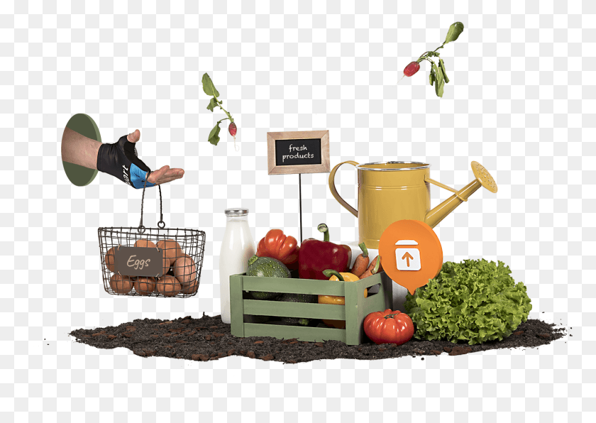 1351x930 Entregas Para Cadenas De Comestibles Y Supermercados Alimentos Naturales, Persona, Planta Hd Png