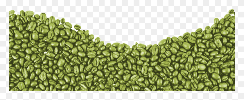 1601x583 Descargar Png Delonghi Ultra Green Coffee Logo, Planta, Frijol, Vegetal Hd Png