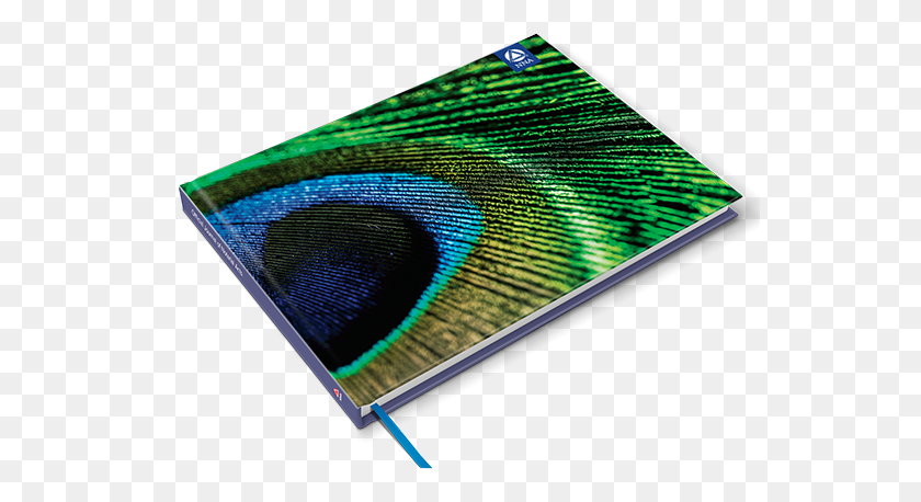 546x398 Deluxe Journal Peacock Feather Graphic Design, Electronics, Computer, Rug HD PNG Download