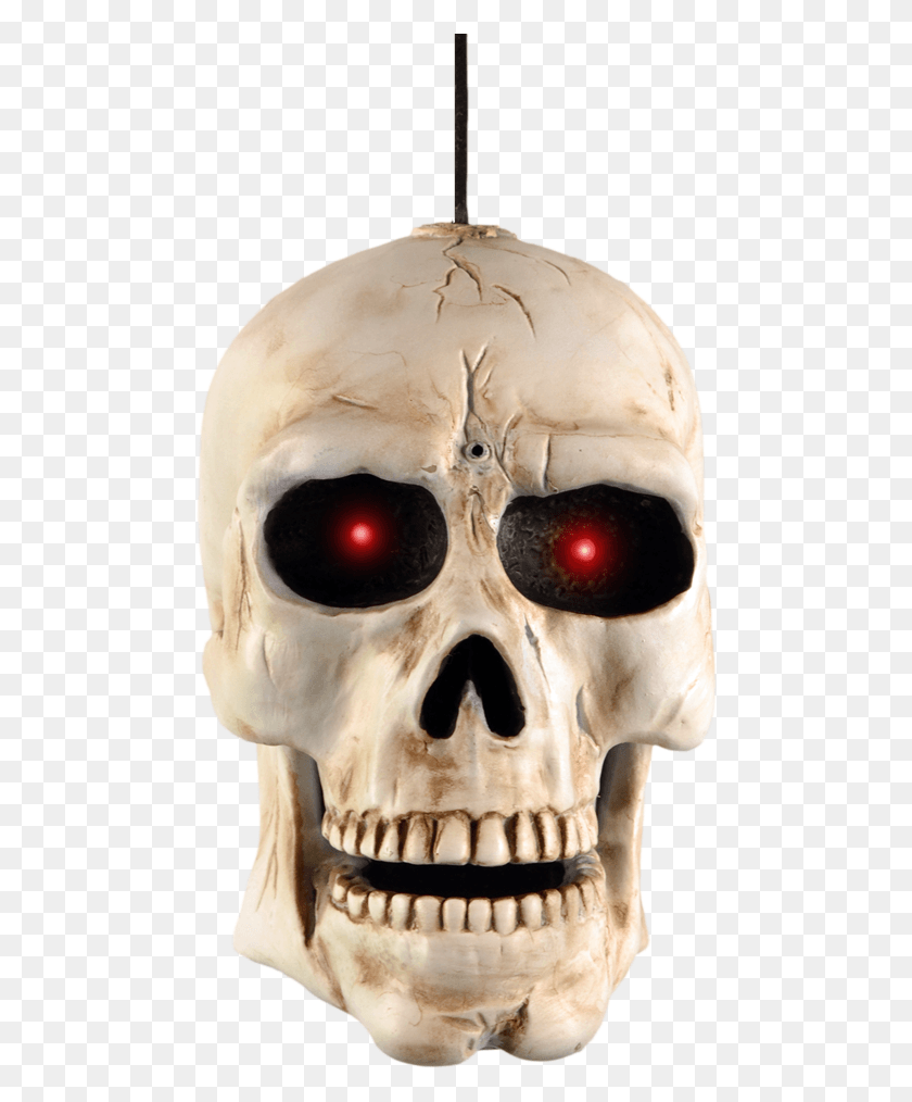482x954 Demo Video Contact Us Enlarge Photo Skeleton Head Hanging, Jaw, Mask, Alien HD PNG Download