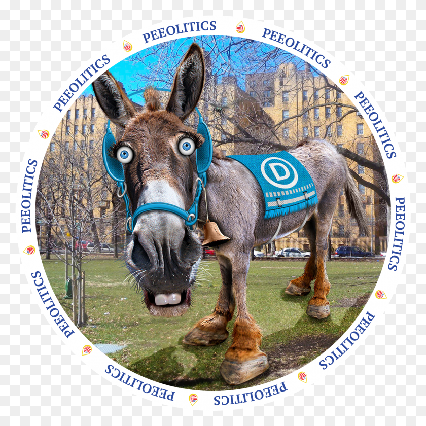 1501x1501 Democratic Donkey Democratic Party, Mammal, Animal, Horse HD PNG Download