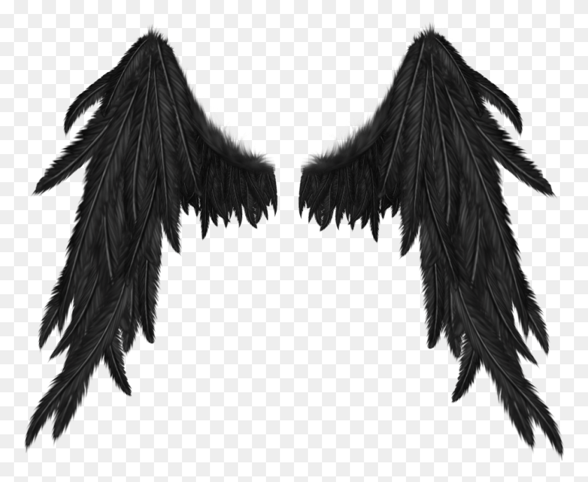 960x774 Demon Wings No Background, Clothing, Apparel, Bird HD PNG Download