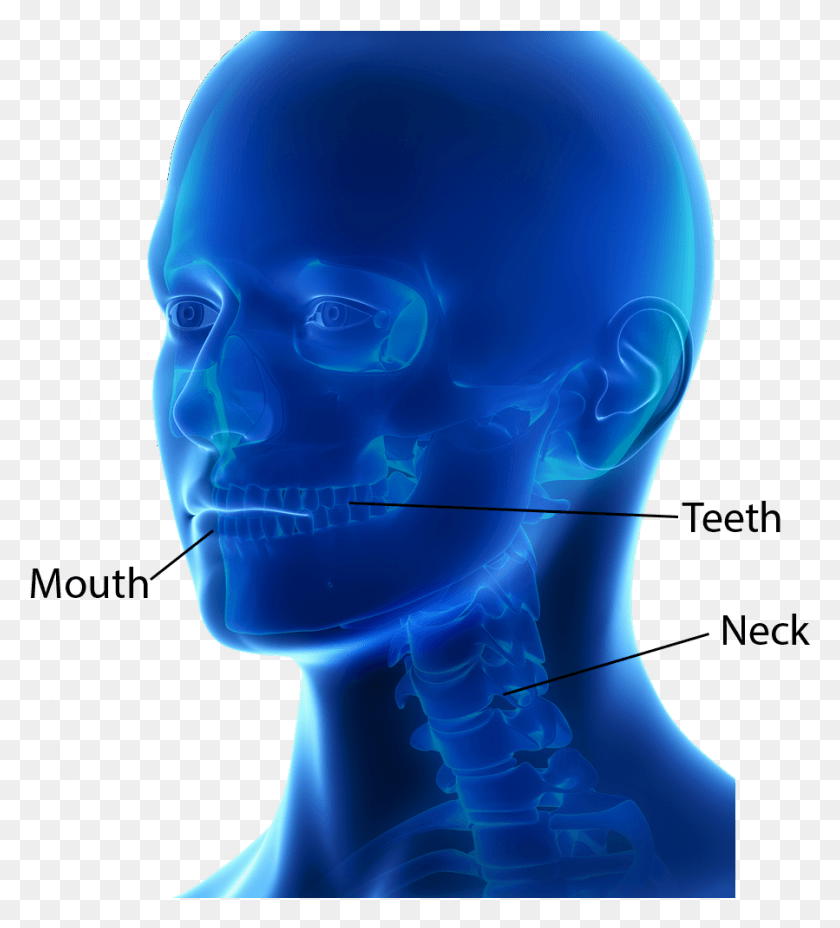 899x1001 Cirugía Dental Y Oromaxilofacial Cráneo, Casco, Ropa, Vestimenta Hd Png