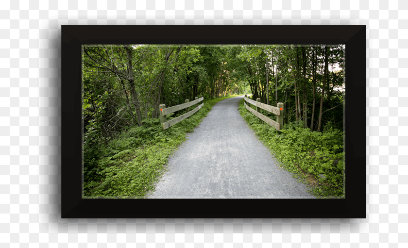 700x451 Dental Care With A Personal Touch Dirt Road, Path, Bench, Furniture HD PNG Download
