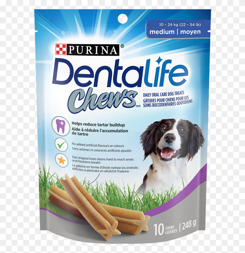 610x805 Dentalife Dog Chews Medium Purina, Домашнее Животное, Собак, Животное, Hd Png Скачать