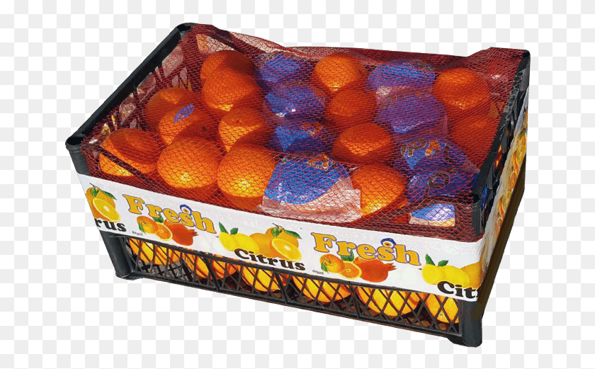 659x461 Depack Ambalaj H File Plastik Kasa Mandarin Orange, Citrus Fruit, Fruit, Plant HD PNG Download