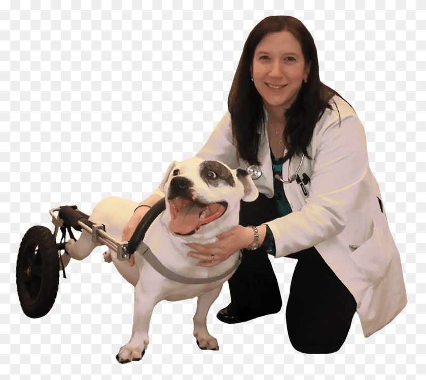 1070x948 Department Doctors Companion Dog, Doctor, Person, Human HD PNG Download