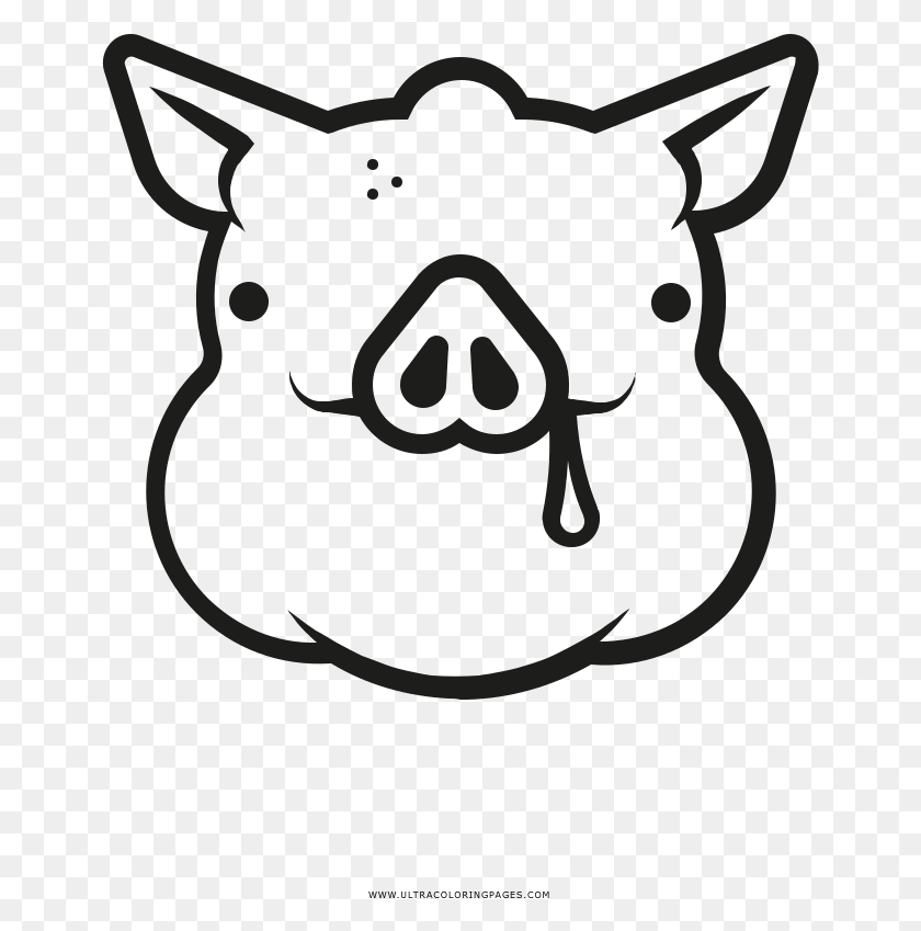 655x789 Derp Pig Coloring, Stencil, Plant, Mammal HD PNG Download