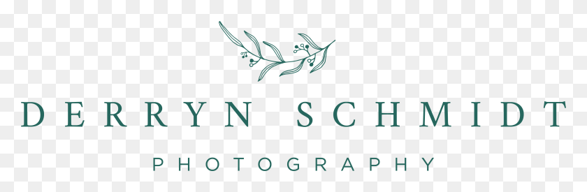 3777x1045 Derryn Schmidt Photography Logo, Text, Number, Symbol HD PNG Download