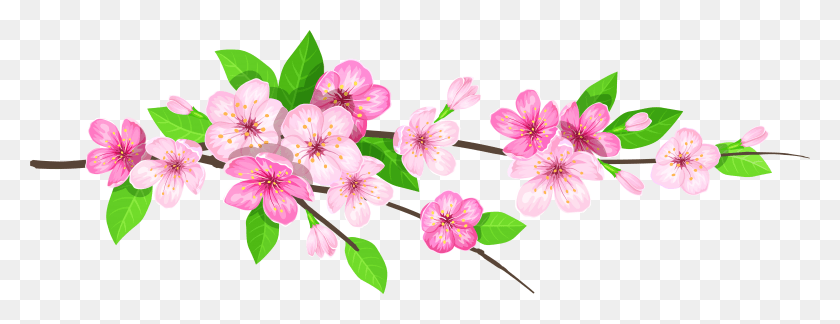 7001x2373 Desenhos De Flor Rosa, Растение, Цветок, Цветение Hd Png Скачать