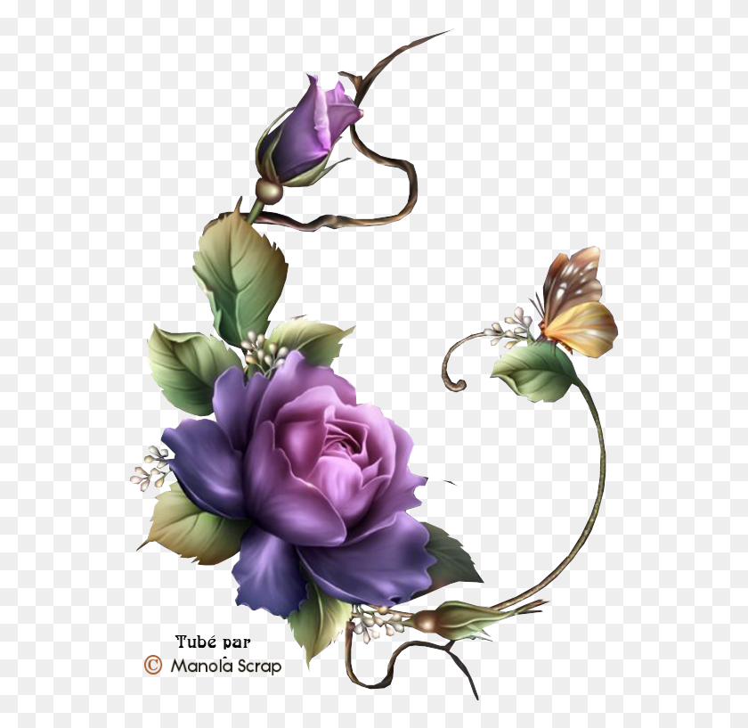 551x757 Descargar Png / Desenhos De Flores Roxas V Hoa Hng, Graphics, Diseño Floral Hd Png