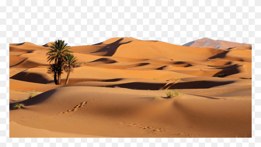 1100x584 Пустыня Фон Фото Пустыня Сахара, Почва, Природа, На Открытом Воздухе Hd Png Скачать