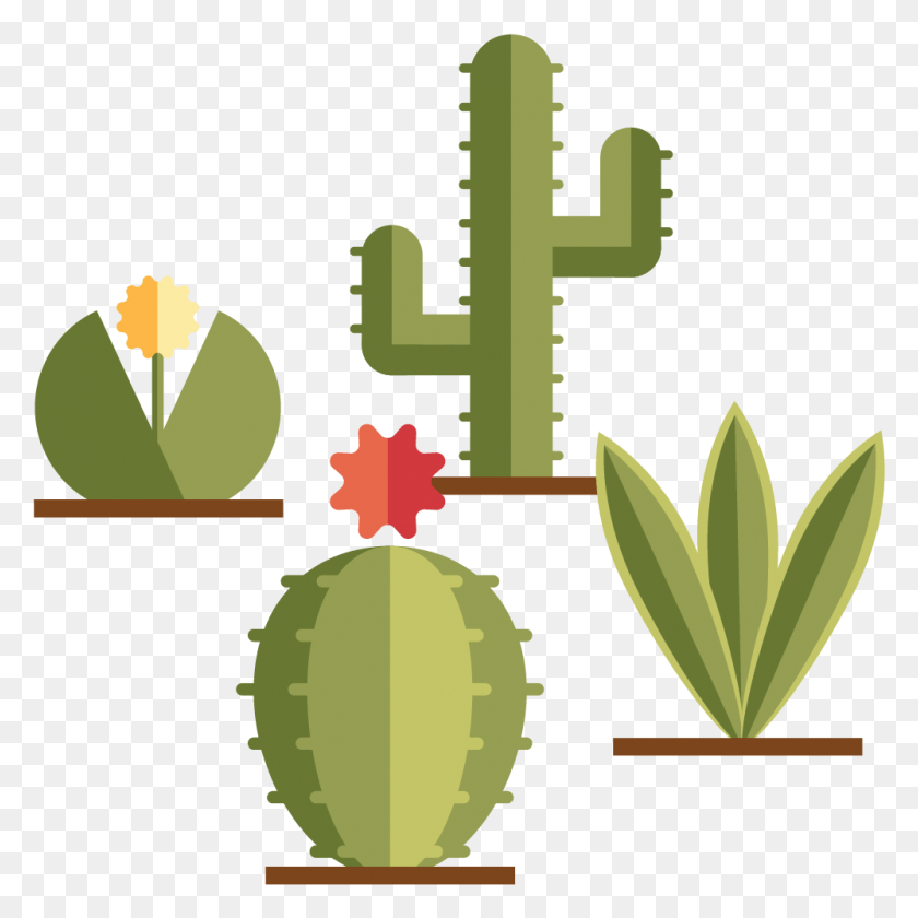 999x999 Desierto De Arbusto Erizo Cactus, Planta, Cruz, Símbolo Hd Png