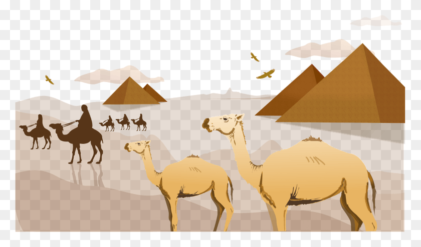 1541x858 Desert Image Amp Desert Transparent Free Egyptian Google Slides Theme, Camel, Mammal, Animal HD PNG Download