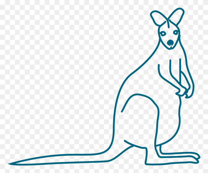 1903x1553 Desert Kangaroo Rat, Cat, Pet, Mammal HD PNG Download