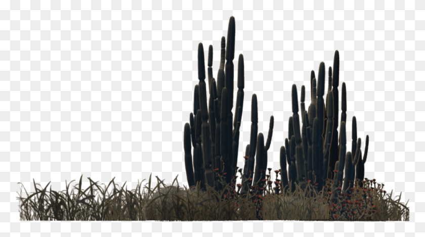 1020x535 Desert Plants Desert Bushes, Plant, Outdoors, Cactus HD PNG Download