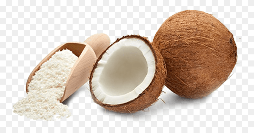 762x380 Desiccated Coconut Powder, Plant, Nut, Vegetable HD PNG Download