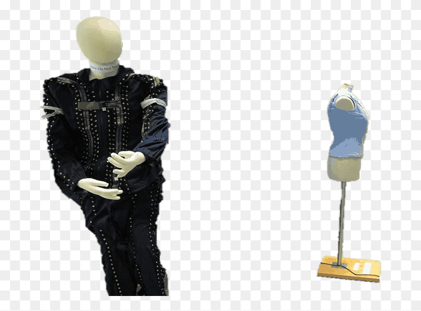 685x561 Design Exibition Standing, Person, Human, Mannequin HD PNG Download