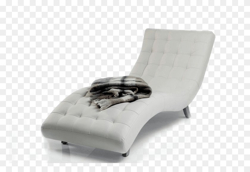 2000x1333 Design House Modern Furniture Design And Manufacturing Chaise Longue, Lizard, Reptile, Animal HD PNG Download