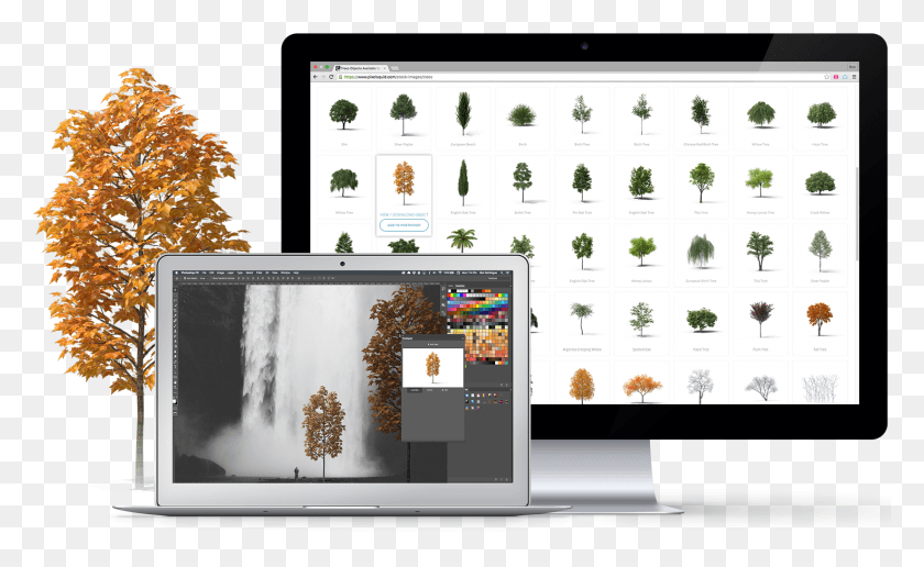 1649x966 Descargar Png Objetos 3D Listo Para El Diseño Para Adobe Photoshop Pixelsquid Plugin Para Photoshop, Planta, Computadora, Electrónica Hd Png