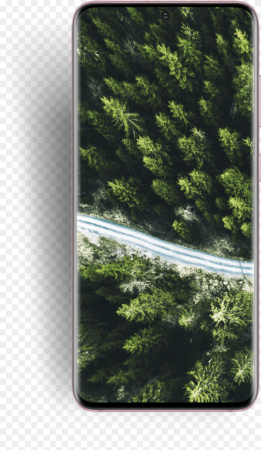 837x1449 Design Samsung Galaxy S20 U0026 Ultra The Official Samsung Galaxy S20, Woodland, Vegetation, Tree, Rainforest Clipart PNG