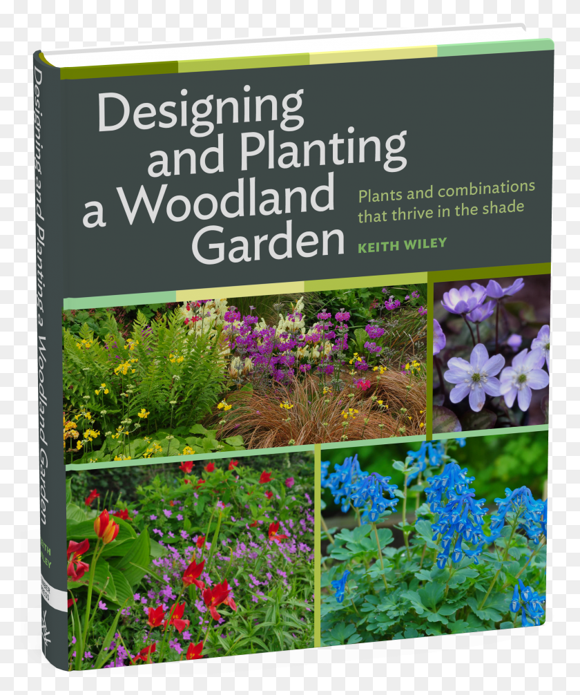 2057x2497 Designing And Planting A Woodland Garden Plants And HD PNG Download