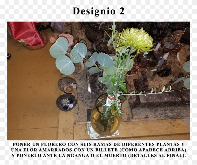1001x824 Designio 2 1 Natal Lily, Plant, Vase, Jar HD PNG Download