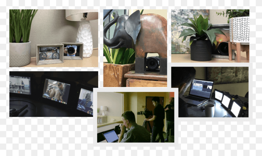 1024x578 Desk Plant Interior Design, Person, Collage, Poster HD PNG Download