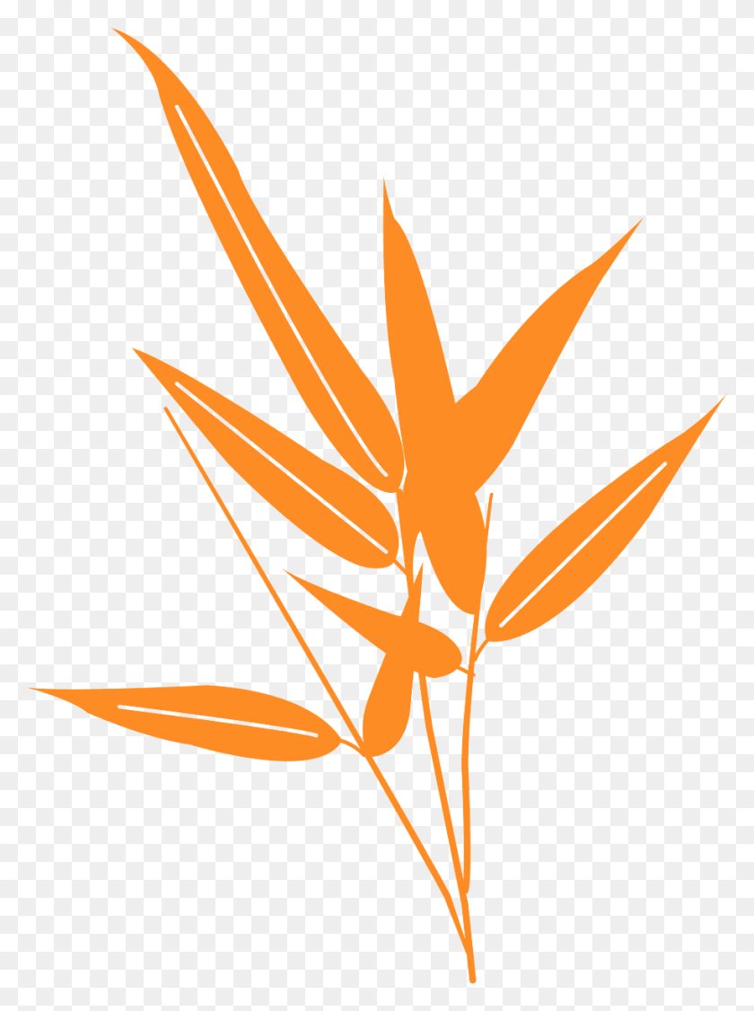 915x1251 Descargar Png / Dessin De Feuilles De Bambou, Hoja, Planta, Árbol Hd Png