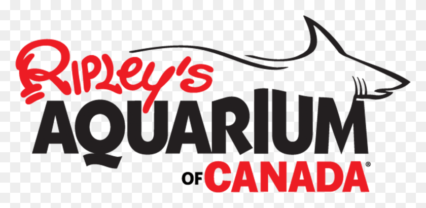 2609x1171 Destination Directory Ripley39s Aquarium Of Canada, Text, Word, Alphabet HD PNG Download