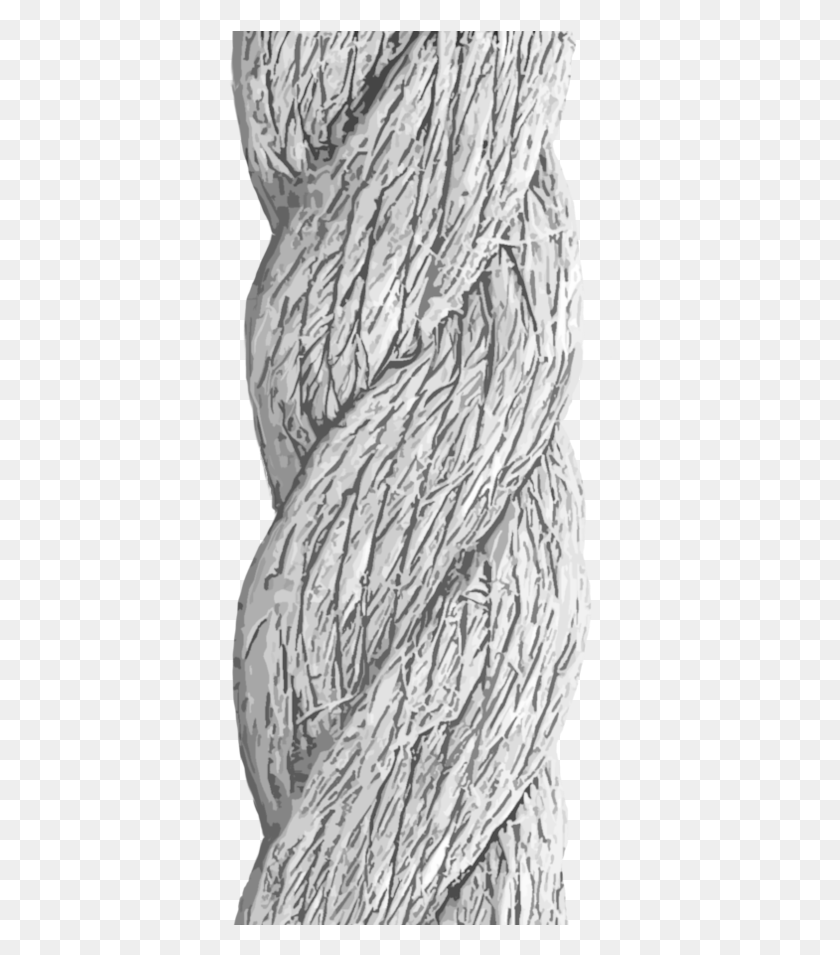 384x895 Detailed By Nellems Rope Texture Drawing, Plant, Produce, Food HD PNG Download