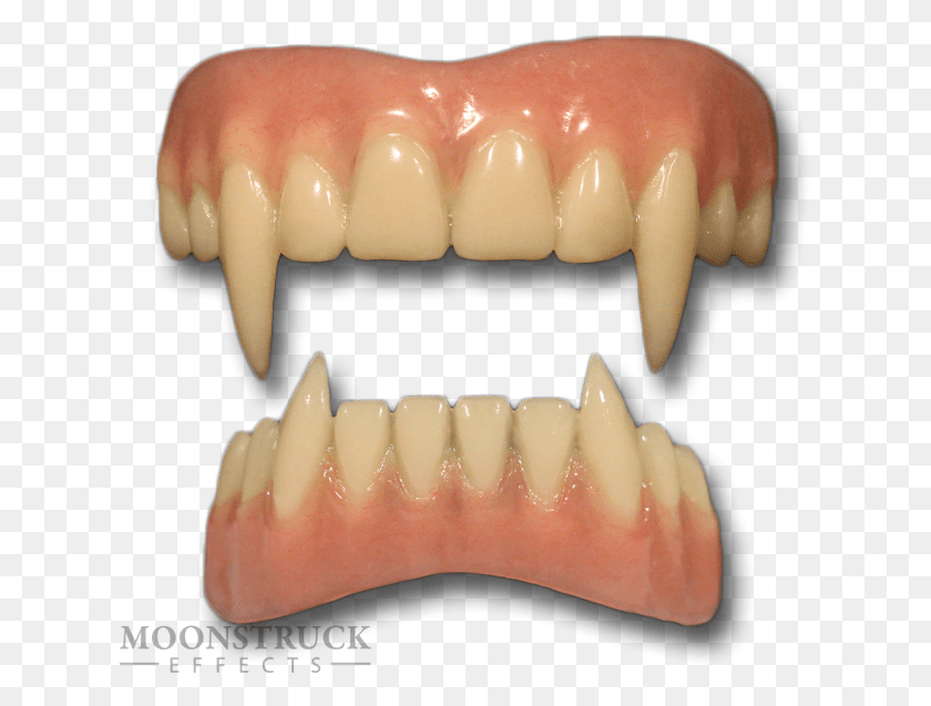 626x577 Details About Moonstruck Effects Vladymyr Vampire Pro Tooth, Teeth, Mouth, Lip HD PNG Download