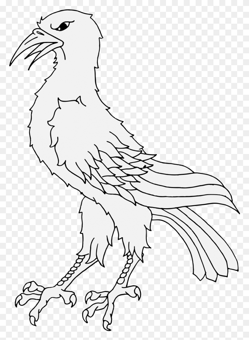 928x1295 Details Bird Of Prey, Animal, Vulture, Eagle HD PNG Download