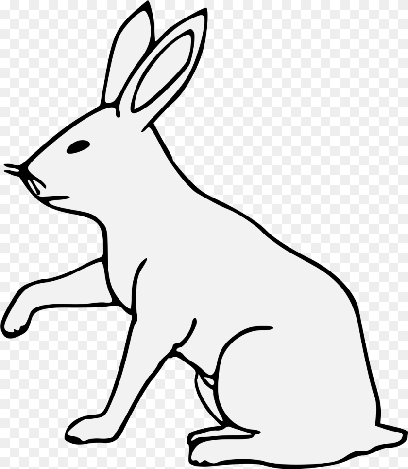 Details Domestic Rabbit, Animal, Mammal, Kangaroo, Rodent Sticker PNG