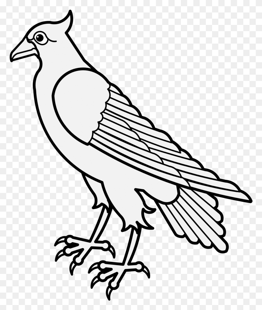1103x1324 Details Dove Heraldry, Animal, Bird, Pigeon HD PNG Download
