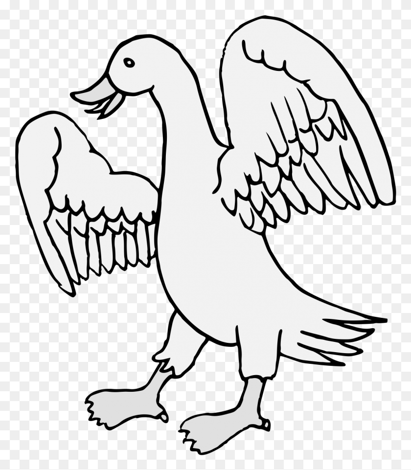 1146x1324 Details Duck, Animal, Bird, Eagle HD PNG Download